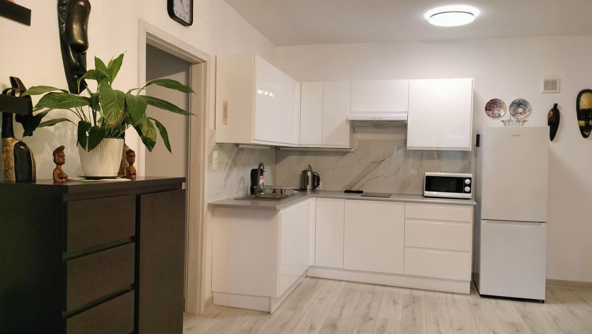 Nad Fontanna Apartment *