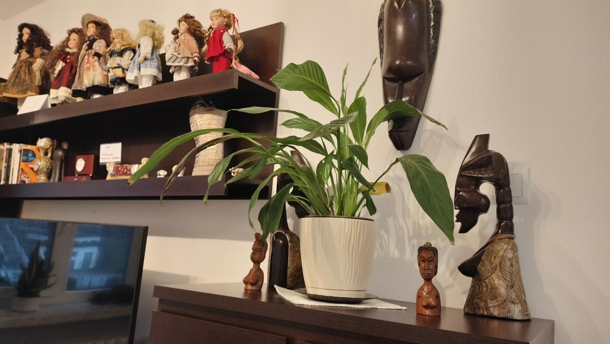 Nad Fontanna Apartment *